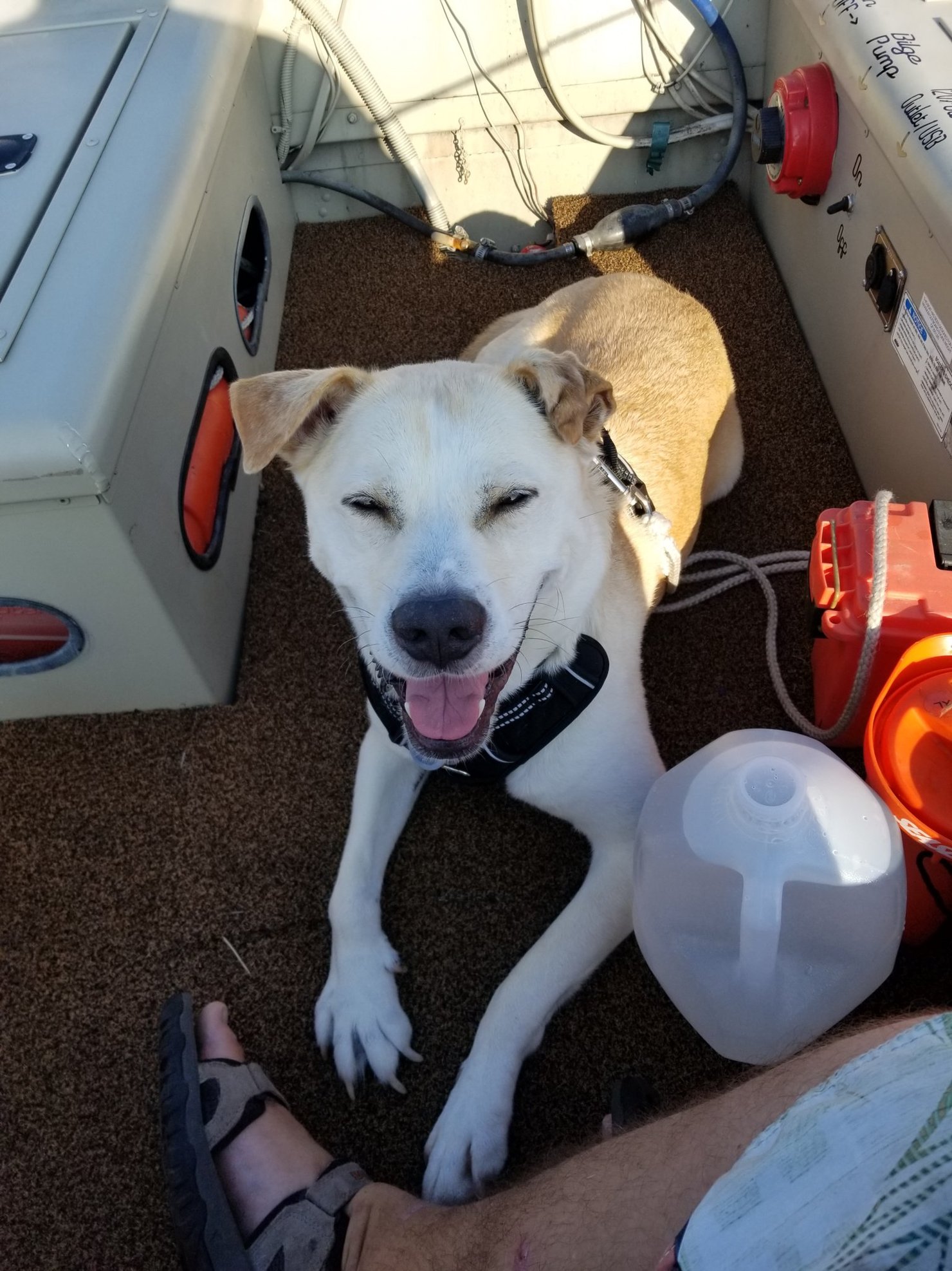 Happy Elliott on a boat