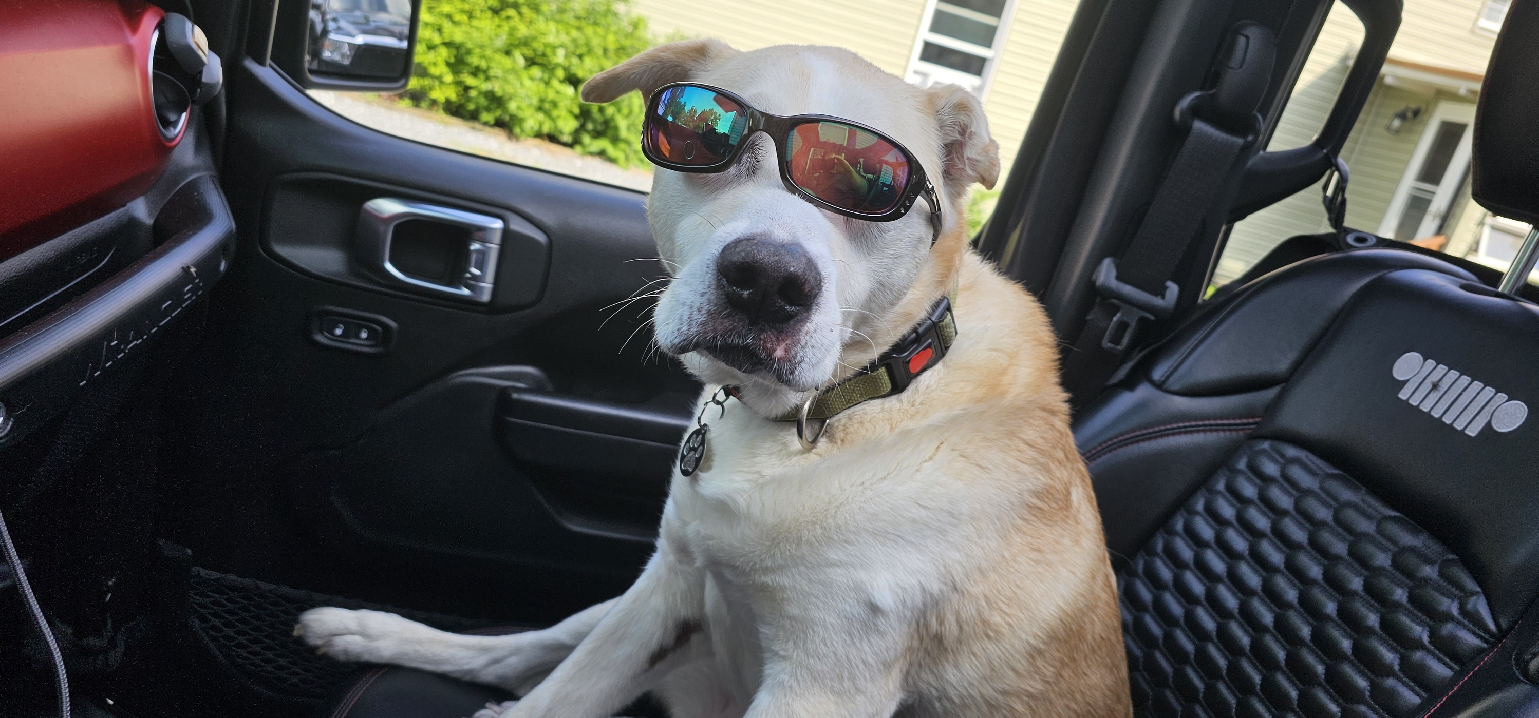 Cool Elliott
